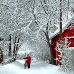 un-inverno-bianco-e-rosso